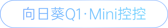 贝锐向日葵 Q1